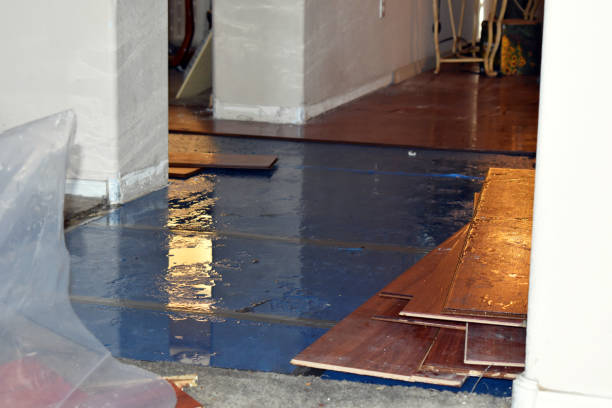 Professional Sewage Cleanup technician working in Webster, IN